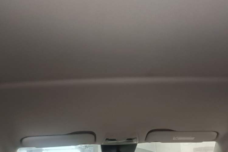 Used Hongqi E-QM5 2022 431 km Charge & Enjoy Edition Headliner