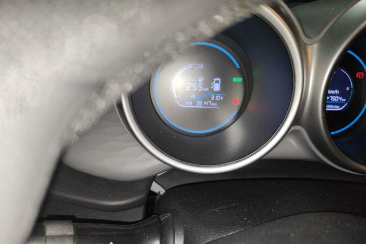 Used ORA Black Cat 2021 301 km Basic Version