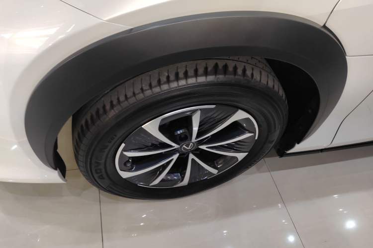 Used Lexus RZ 2023 450e All-Wheel Drive Luxury Edition Exterior 4