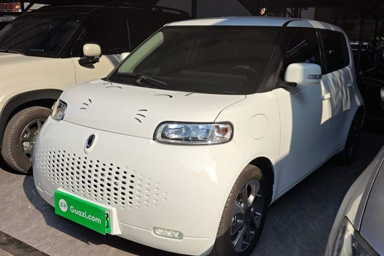 Used ORA White Cat 2020 305 km Luxury Version