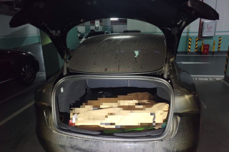 Used Tesla Model 3 2023 Long-Range All-Wheel-Drive Version
