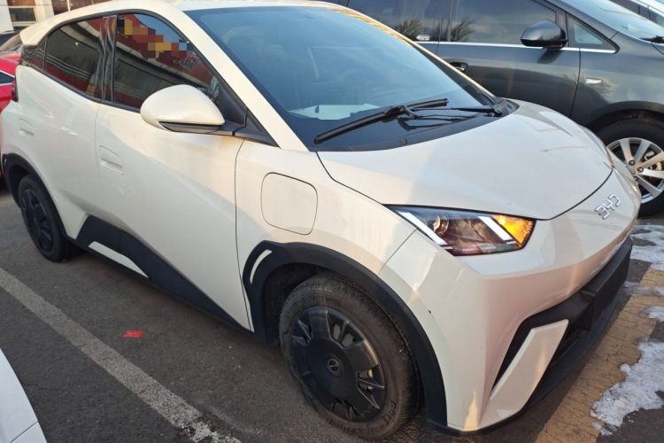 Used BYD Seagull 2024 Honor Edition 305km Dynamic Version
