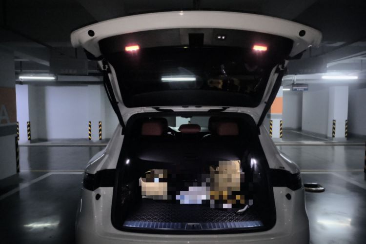 Used Porsche Cayenne 2022 Cayenne S 2.9T Platinum Edition