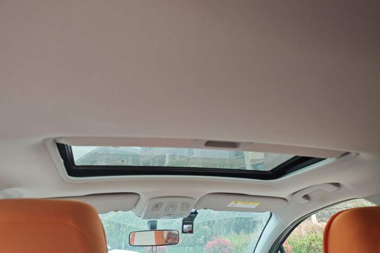 Used Citroen C4L 2015 1.2T Automatic Luxury Edition Headliner