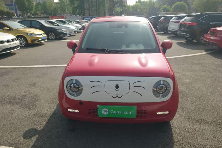 Used ORA Black Cat 2021 351 km Luxury Version Front