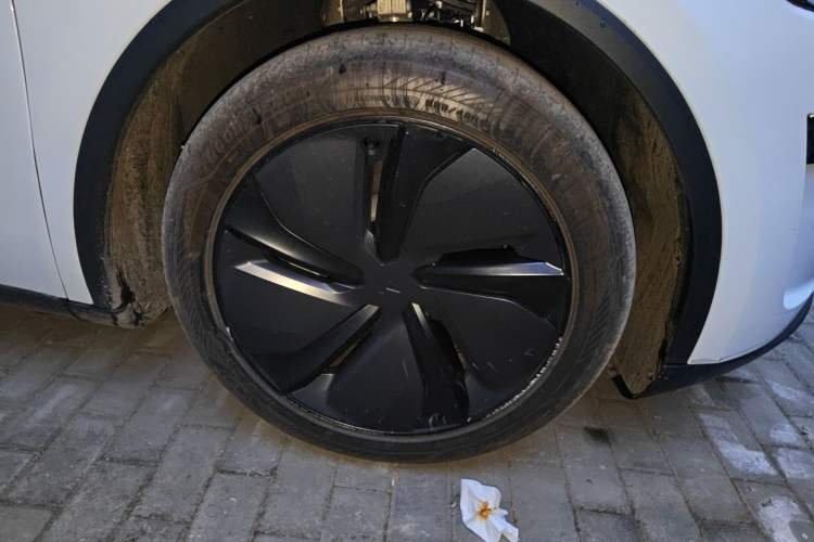 Used Tesla Model Y 2025 Rear-Wheel-Drive Version