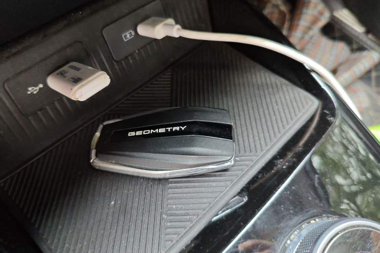 Used Geometry E Firefly 2022 320KM Cute Tiger 4-Seater
