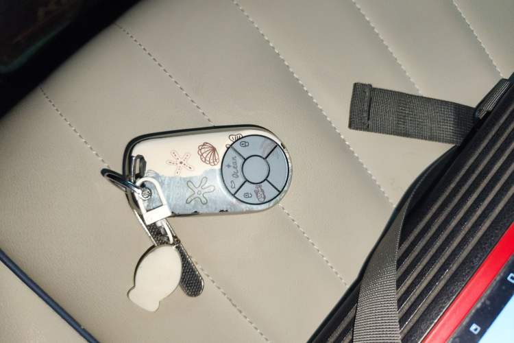 Used ORA Good Cat 2023 401 km Standard Range Luxury Version Lithium Iron Phosphate