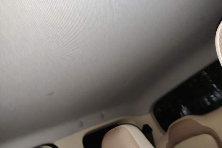 Used Wuling Hongguang MINIEV 2024 3rd Generation 215km Youth Edition Headliner