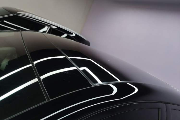 Used firefly 2025 Night Creature Special Edition
