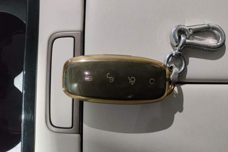 Used Denza D9 2022 DM-i 970 Four-Wheel Drive Prestige Model