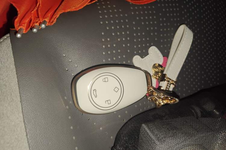 Used Leapmotor T03 2023 310 Lite Edition Vehicle Key