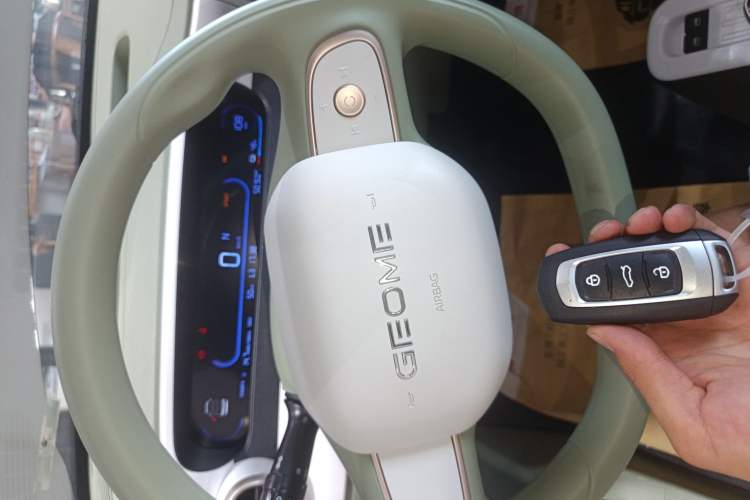 Used Geely Auto Panda 2025 210km Panda Rider
