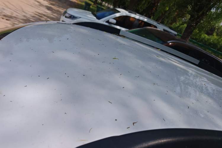 Used CHANGAN CS15 2016 1.5L Automatic Fashion Edition
