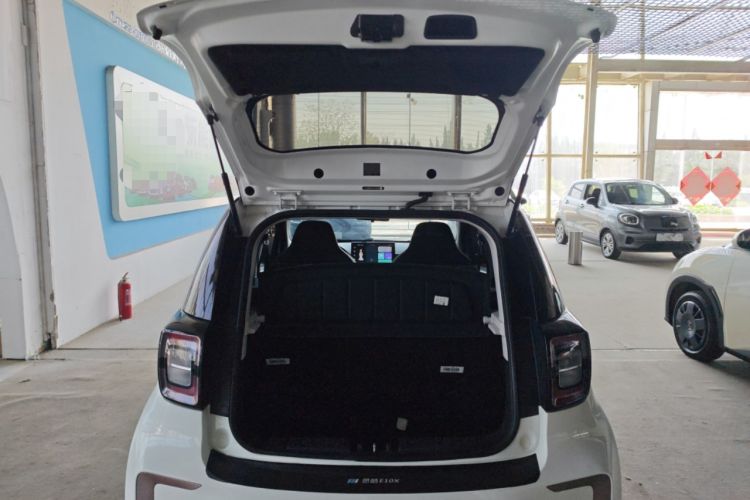 Used SOL E10X 2022 Flower Fairy Design Sunflower