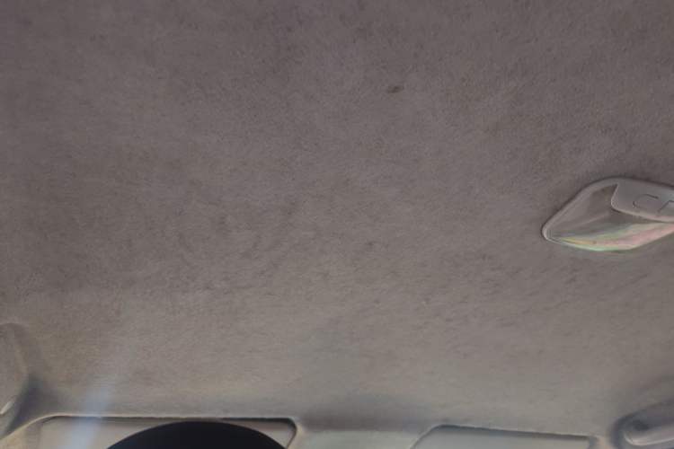 Used Zxauto Grandtiger 2016 Isuzu 2.8T Diesel Two-Wheel-Drive Elite Model Headliner