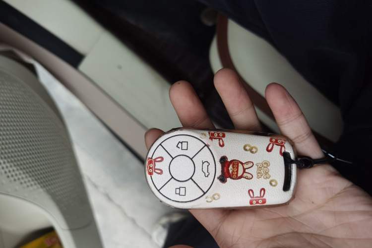 Used ORA Good Cat 2021 400km Standard Range Venus Edition Lithium-Ion Battery
