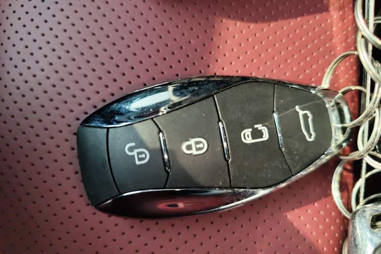 Used Hongqi E-HS9 2022 660 km Range Flagway Edition Six Seats
