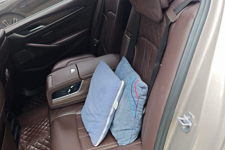 Used BMW 5 Series New Energy 2019 530Le Luxury Package