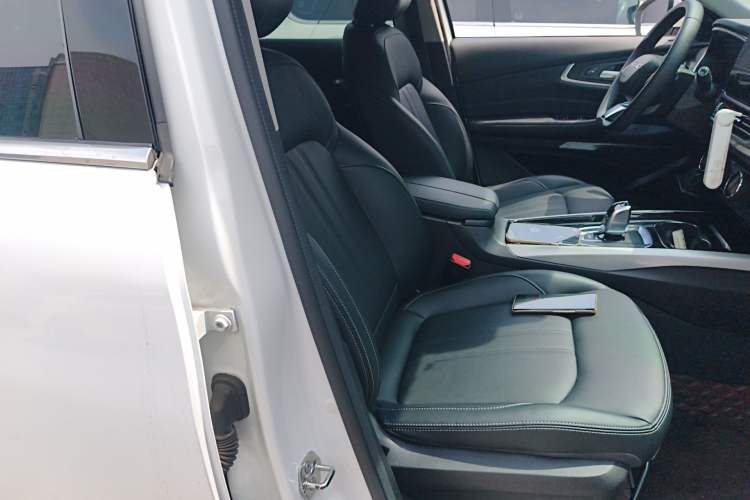 Used EXEED Lingyun 2019 1.6T Two-Wheel-Drive Platinum Edition Right Front Seat