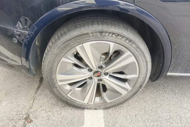 Used Hongqi E-HS9 2021 460 km Range Flagship Edition Six-Seater