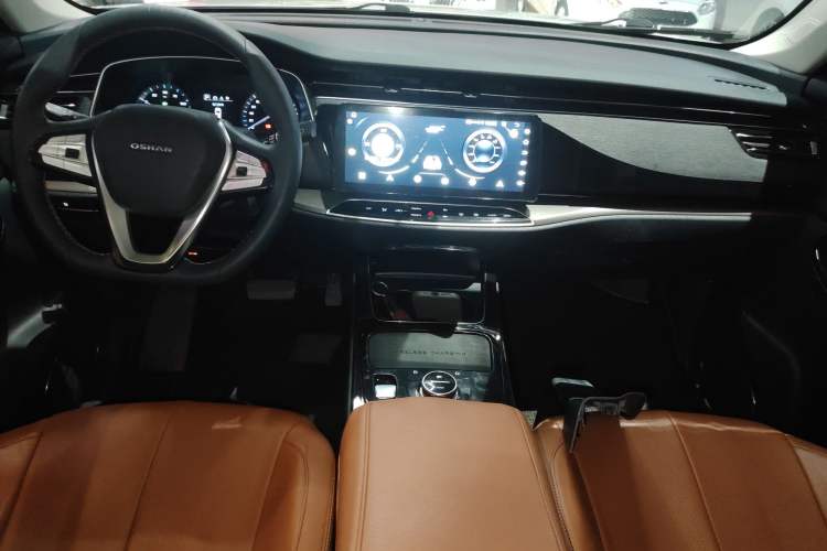 Used Oshan X7 EV 2020 Luxury Model 405