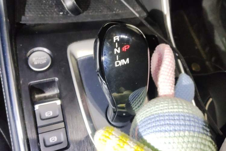 Used Haval H6 2023 National Trend Edition 1.5T Automatic Champion Version