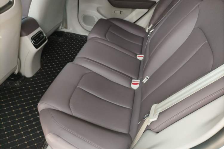 Used Leapmotor C11 2023 Pure Electric 500 Comfort Edition