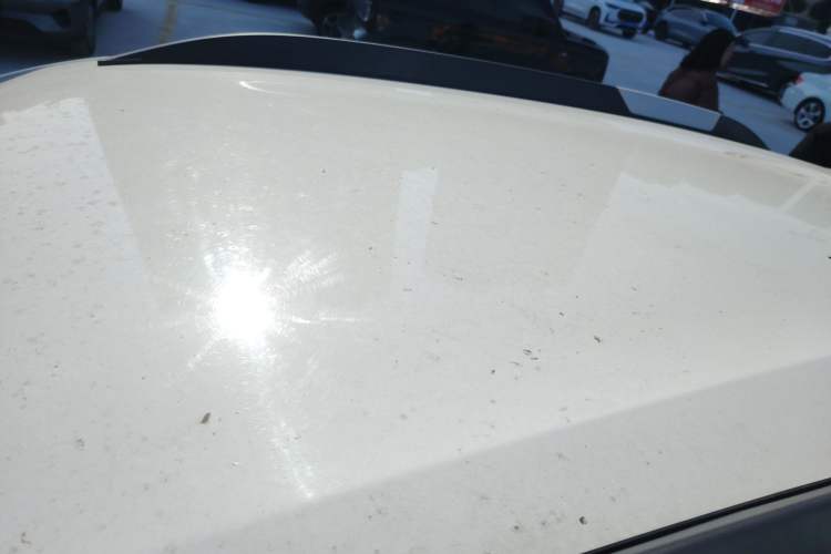 Used Venucia e30 2021 Elite Edition