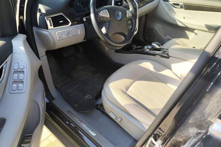 Used Denza 2014 Stylish Edition