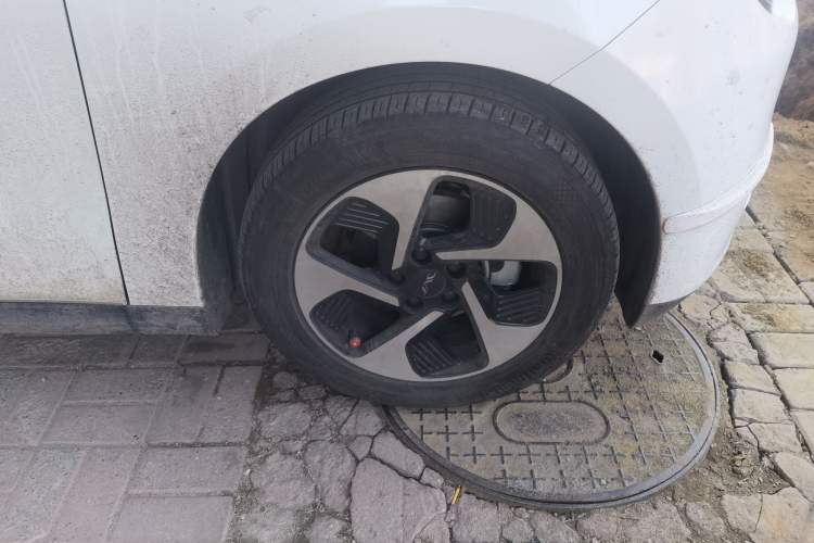 Used JAC Yiwei 3 2023 505km Pro
