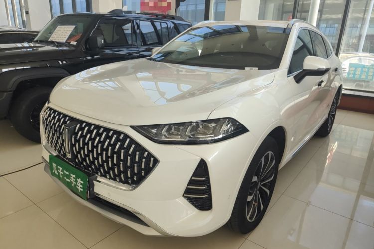 Used Wey Mocha 2021 2.0T Two-Wheel-Drive Ultra-Strong Version