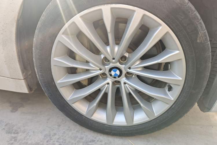 Used BMW 5 Series New Energy 2019 530Le Luxury Package
