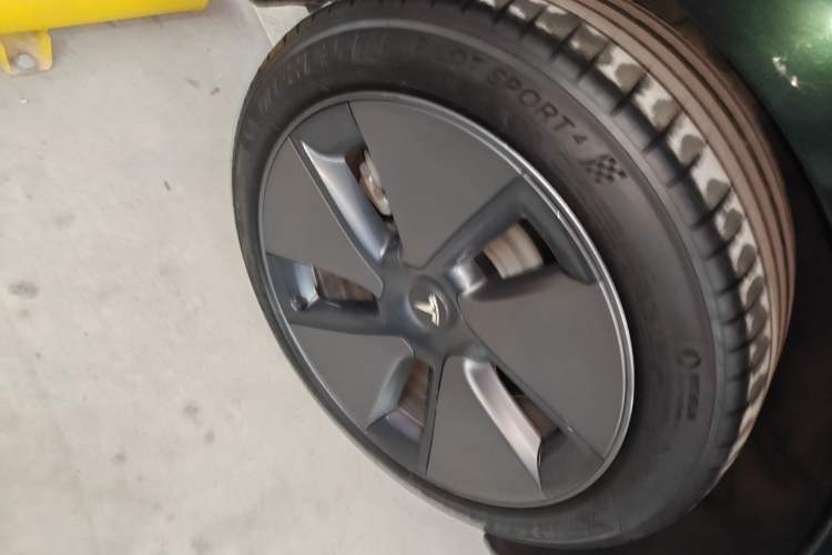 Used Tesla Model 3 2022 Rear-Wheel-Drive Version Exterior 5