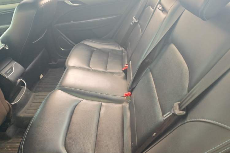 Used Geely Auto Emgrand New Energy 2018 EV450 Ambition Model Left Rear Seat