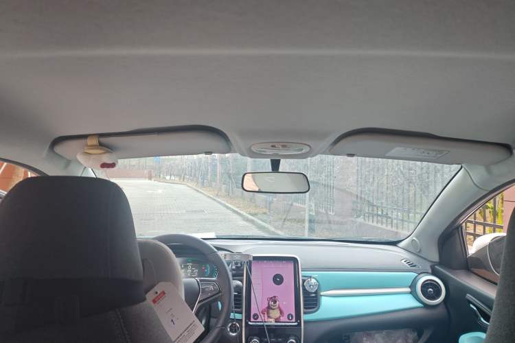 Used Chery Little Ant 2021 150 000 Yuan "Ant Fan" Edition New Ant Cool Version Lithium-Ion Battery
