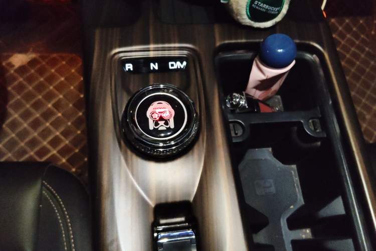 Used Haval DARGO 2022 2.0T DCT All-Wheel-Drive Xiaotianque Version