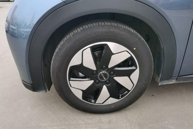 Used BYD Dolphin 2025 420km Free Edition