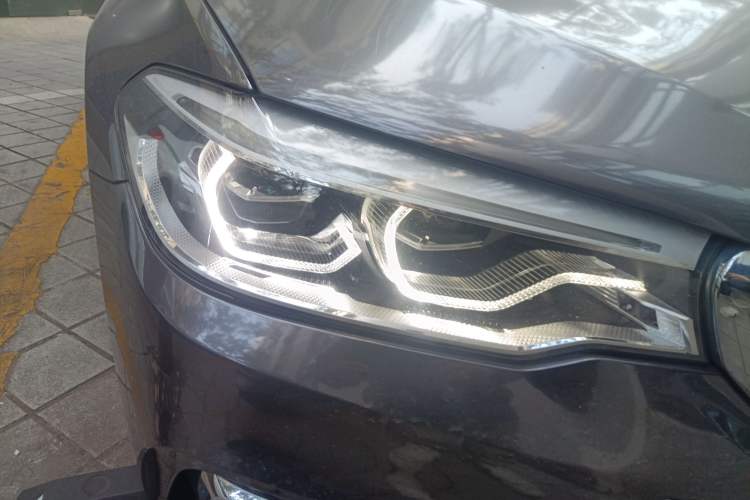 Used BMW 5 Series New Energy 2019 530Le Luxury Package