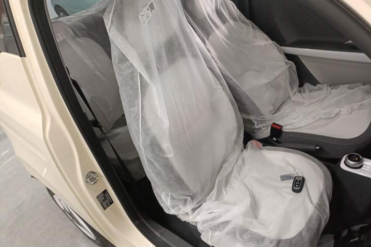 Used Geely Galaxy Panda 2025 210 km – Yuanqi Bear Right Front Seat