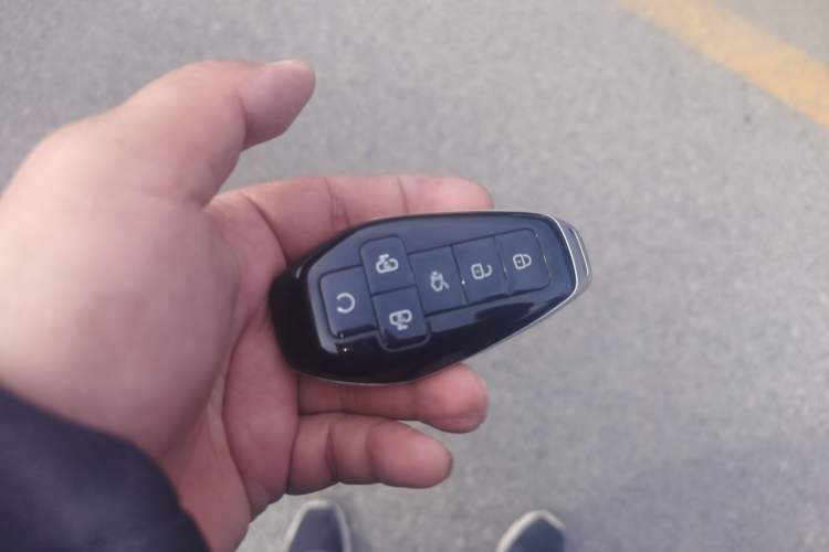 Used Denza D9 2025 DM-i Smart Drive 1020 Four-Wheel Drive Deluxe Model
