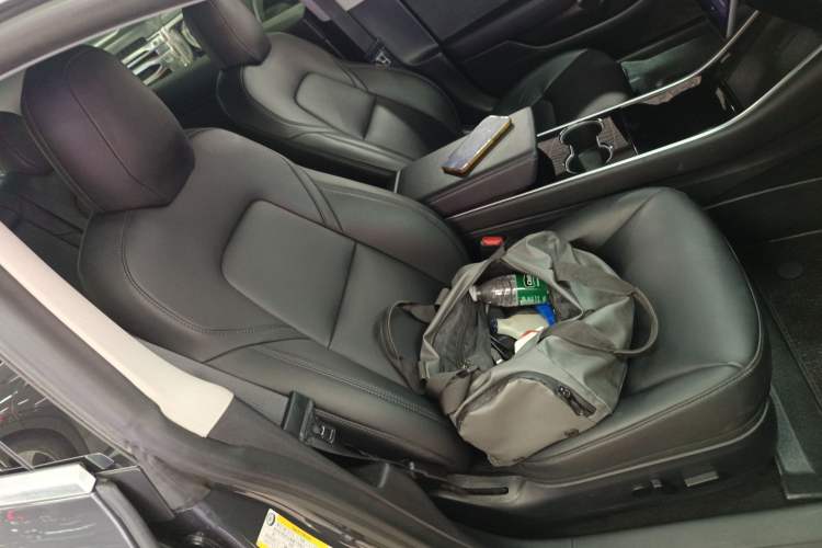 Used Tesla Model 3 2019 Standard Range Rear-Drive Upgraded Version Right Front Seat