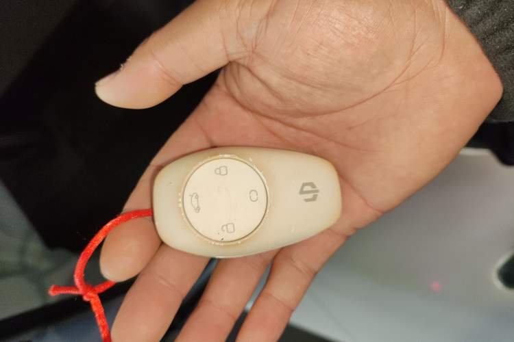 Used Leapmotor C11 2021 Revised Version Luxury Edition