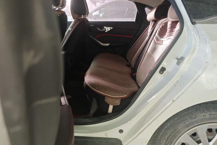 Used Venucia D60 2019 100 000 Glory 1.6L Entry Manual ChenShang Edition China VI
