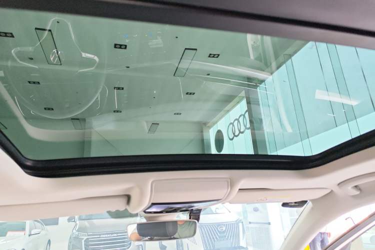 Used Volkswagen Passat New Energy 2022 430 PHEV Hybrid Luxury Edition Headliner