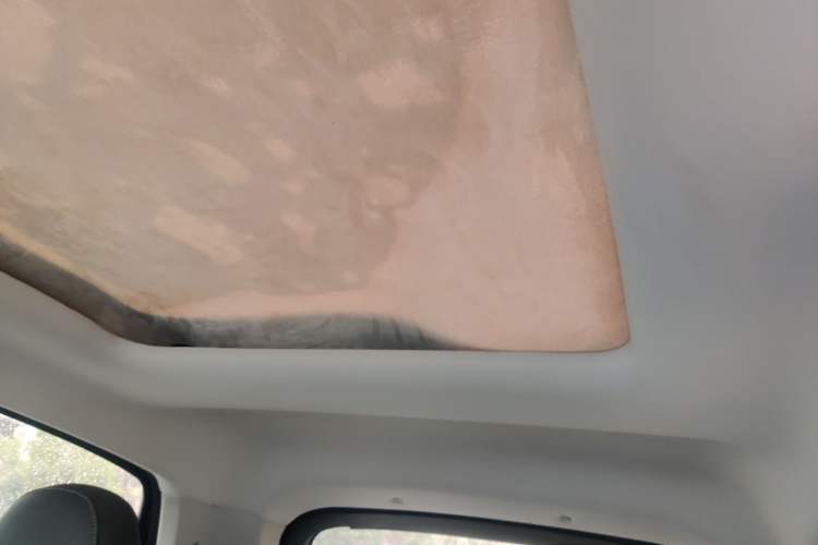 Used Leapmotor T03 2020 400 Luxury Edition Headliner