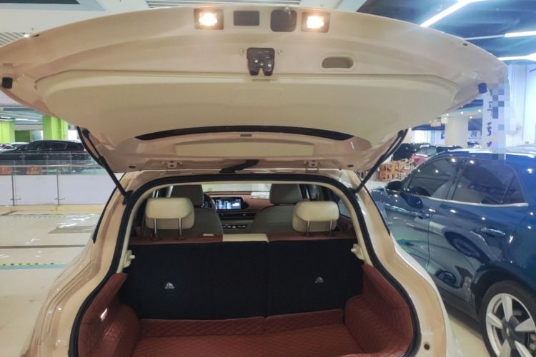 Used ORA Good Cat 2023 401 km Standard Range Luxury Version Lithium Iron Phosphate