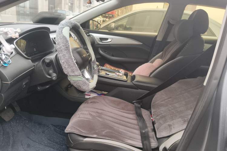 Used Roewe i6 MAX New Energy 2020 1.5T PHEV Cool & Stylish Skyroof Edition Left Front Seat