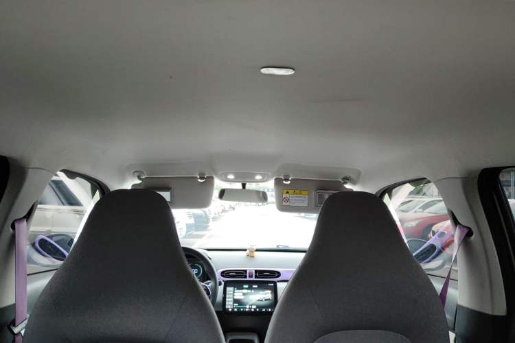 Used Leapmotor T03 2021 400 Micro-Sugar Version Headliner