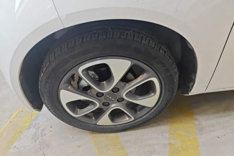 Used ORA White Cat 2020 305 km Luxury Version